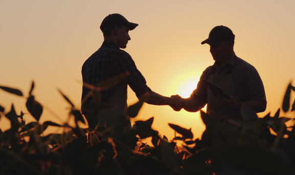 FLC-Program-Structure Two men shaking hands in a field with a sunset