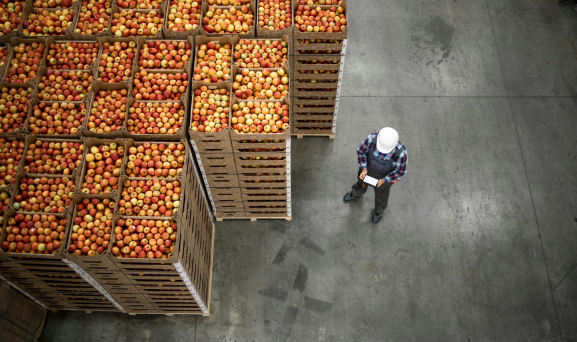 Product-Recall-Supply-Chain Stacked pallets of apples in warehouse with employee looking at tablet