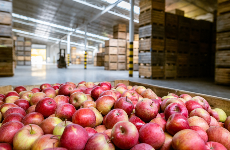 Stock-Throughput-Coverage Warehouse with a pile of apples in foreground with crates stacked in background