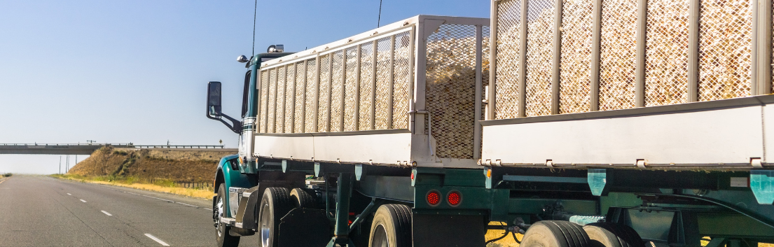 Stock-Throughput-Header semi-truck loaded with onions driving down the freeway
