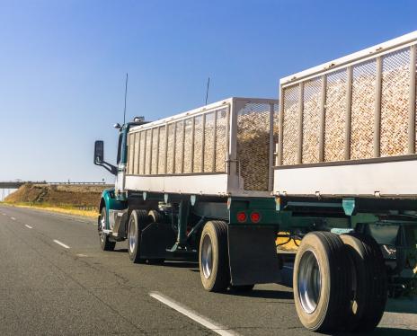 semi-truck loaded with onions driving down the freeway