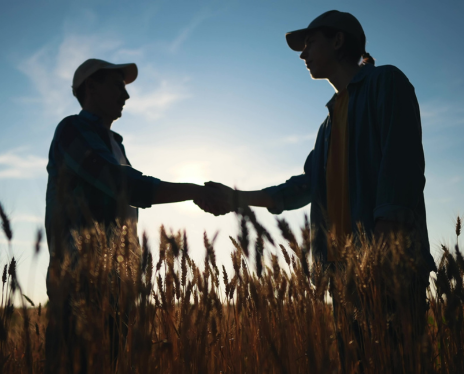 Two farmers shaking hands in wheat field with sun flare in the background